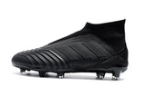 Adidas Predator 19.1 FG Cleats Black