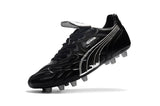 Adidas Predator Accelerator 17.1 FG Cleats Black/Silver